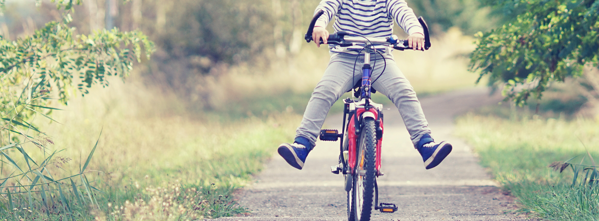 pro-WINNER next generation Slide background